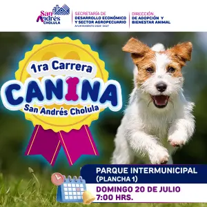 Puebla 1