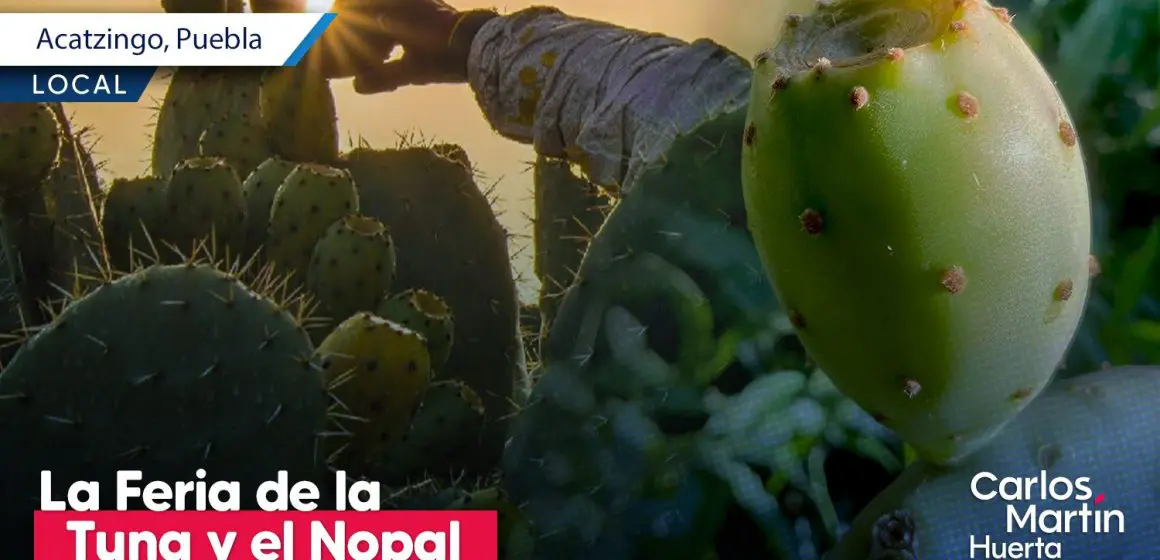 Acatzingo invita a la Feria de la Tuna y el Nopal 2025 en San Sebastián Villanueva