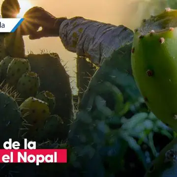 Acatzingo invita a la Feria de la Tuna y el Nopal 2025 en San Sebastián Villanueva