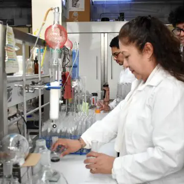 BUAP: Patenta compuesto de barbasco con efectos anticancerígenos