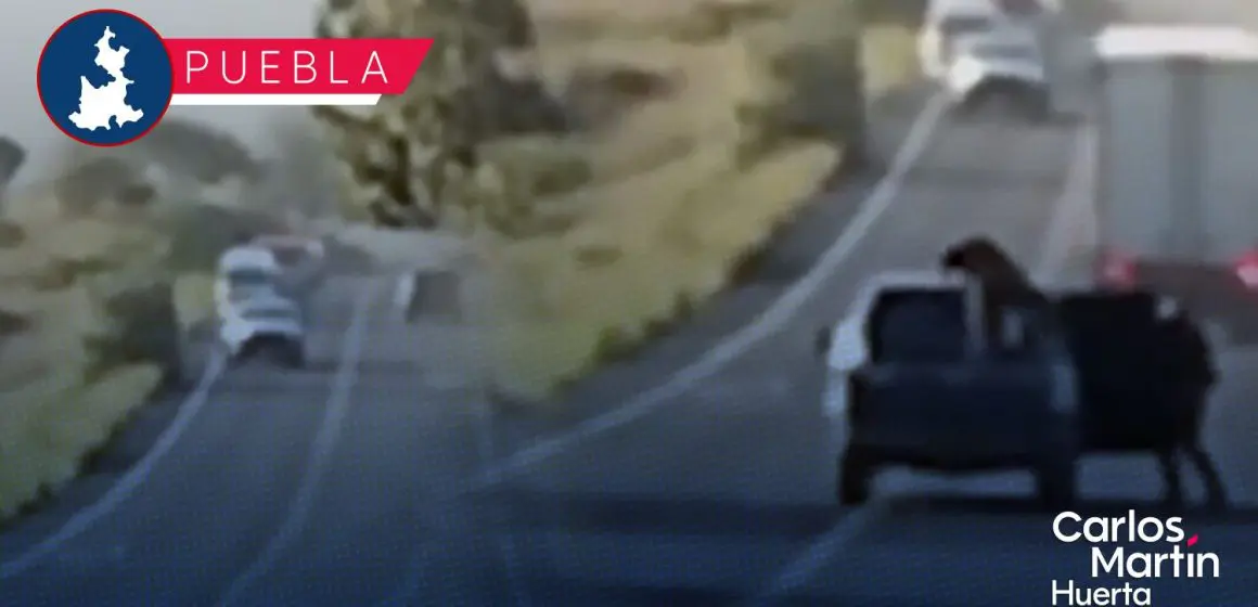 Captan robo de dos tráileres en la carretera federal Azumbilla-El Seco