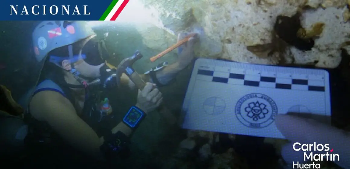 Descubren 22 fósiles marinos en los cenotes de la Península de Yucatán