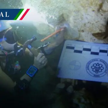 Descubren 22 fósiles marinos en los cenotes de la Península de Yucatán