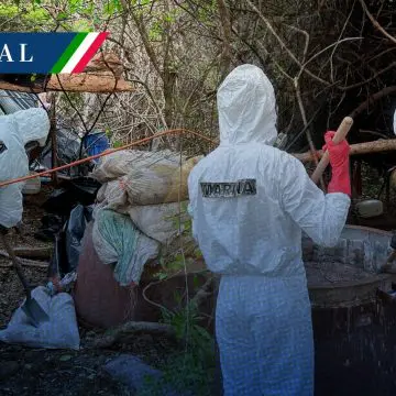 Desmantelan narcolaboratorio en Sinaloa con afectación económica de 81 mdp