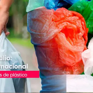 Día Internacional Sin Bolsas de Plástico: el planeta no puede esperar más