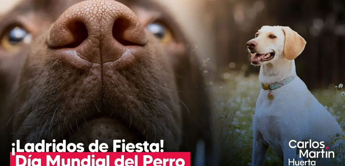 ¡Guau! Celebra el Día Mundial del Perro