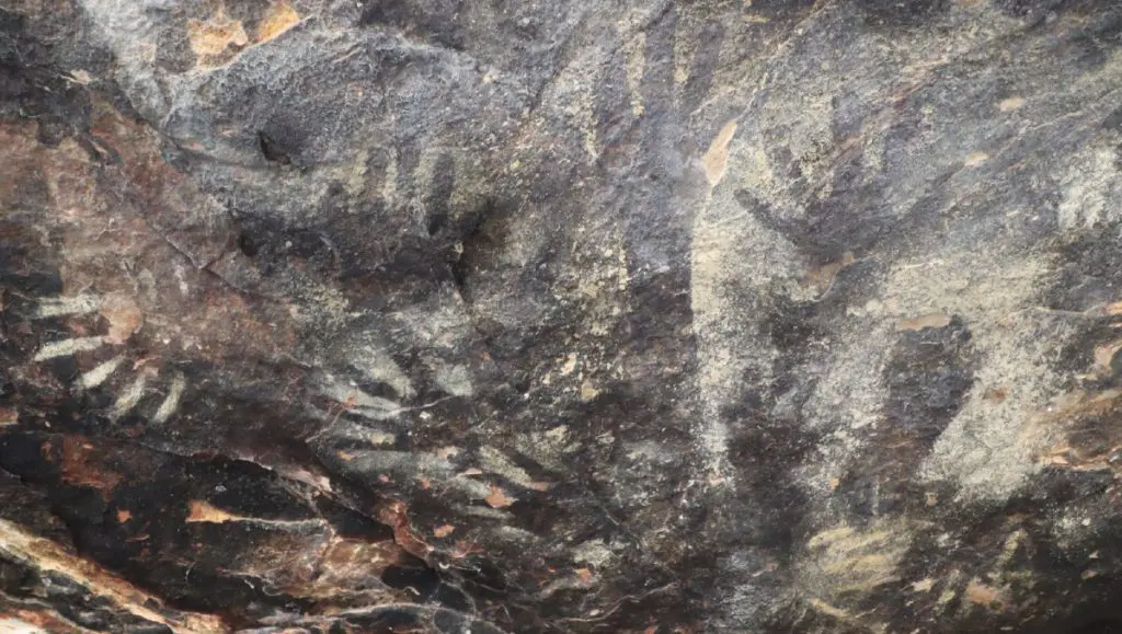 Encuentran posibles pinturas rupestres de 10 mil años de antigüedad en Coapan, Tehuacán 2 Encuentran posibles pinturas rupestres de 10 mil anos de antiguedad en Coapan Tehuacan 3
