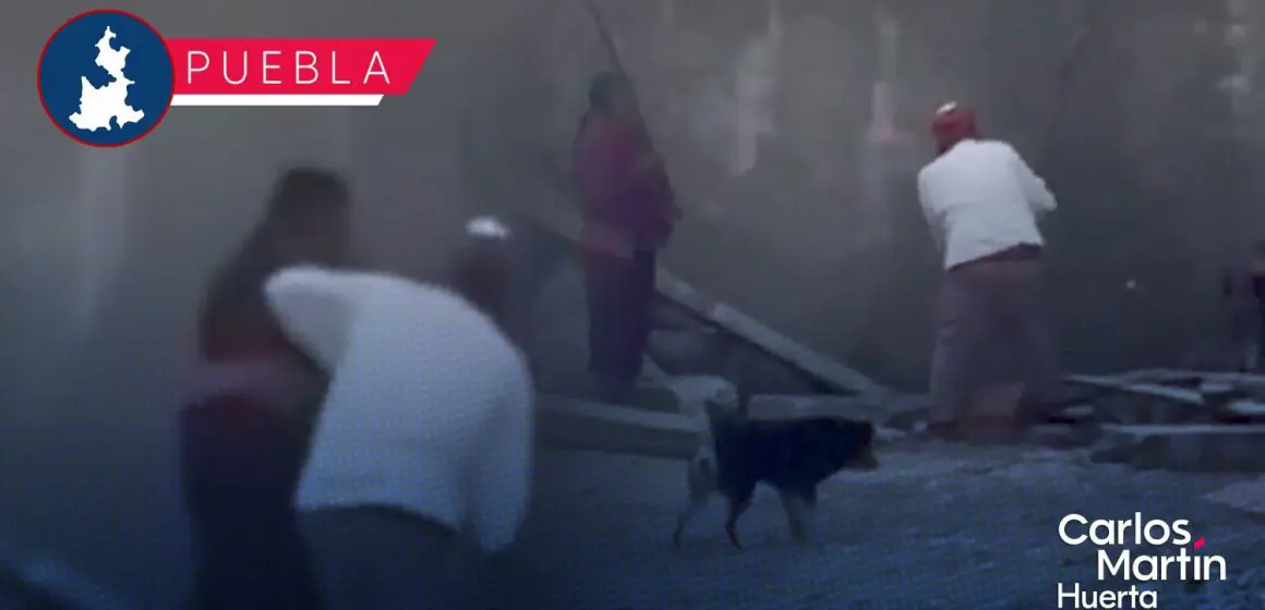 FGE inicia investigación contra pareja que golpeo brutalmente a un lomito en Zacatlán