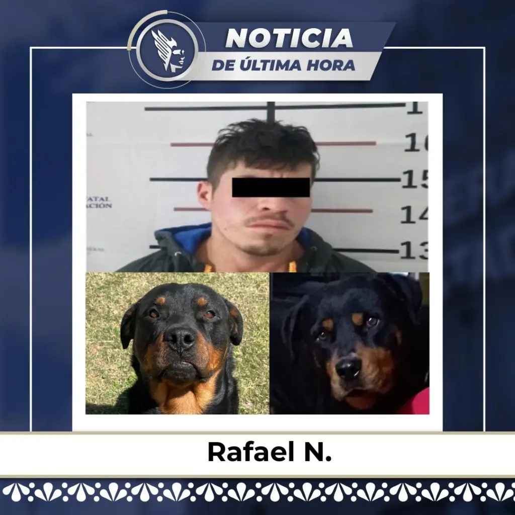 Vinculan a proceso a Rafael N., por crueldad animal tras envenenar a dos perros 1 Gu liBFWwAATa 0