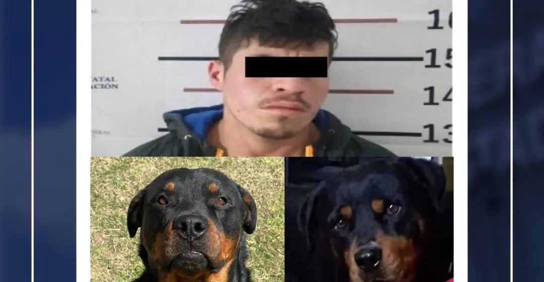 Vinculan a proceso a Rafael N., por crueldad animal tras envenenar a dos perros