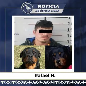 Vinculan a proceso a Rafael N., por crueldad animal tras envenenar a dos perros