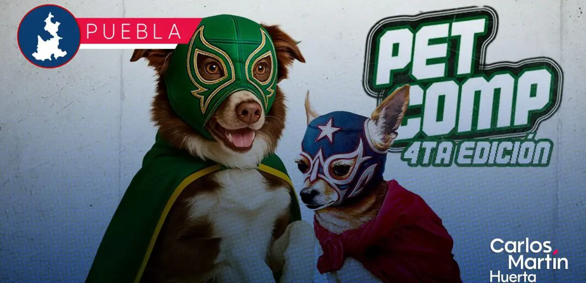Mascotas al ring: Pericos convoca a lucha de disfraces en el Hermanos Serdán