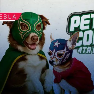 Mascotas al ring: Pericos convoca a lucha de disfraces en el Hermanos Serdán