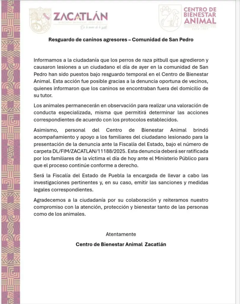 Pitbulls atacan a hombre en San Pedro Atmatla tras presunta provocación 3 Pitbulls atacan a hombre en San Pedro Atmatla tras presunta provocacion 3