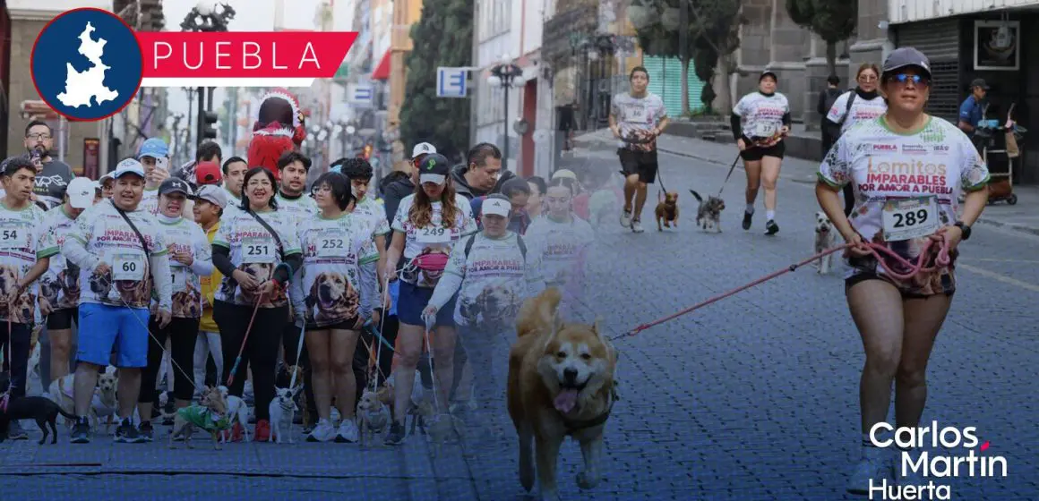 Por amor y seguridad: Puebla corre con sus lomitos contra el maltrato animal