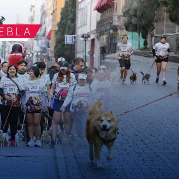 Por amor y seguridad: Puebla corre con sus lomitos contra el maltrato animal