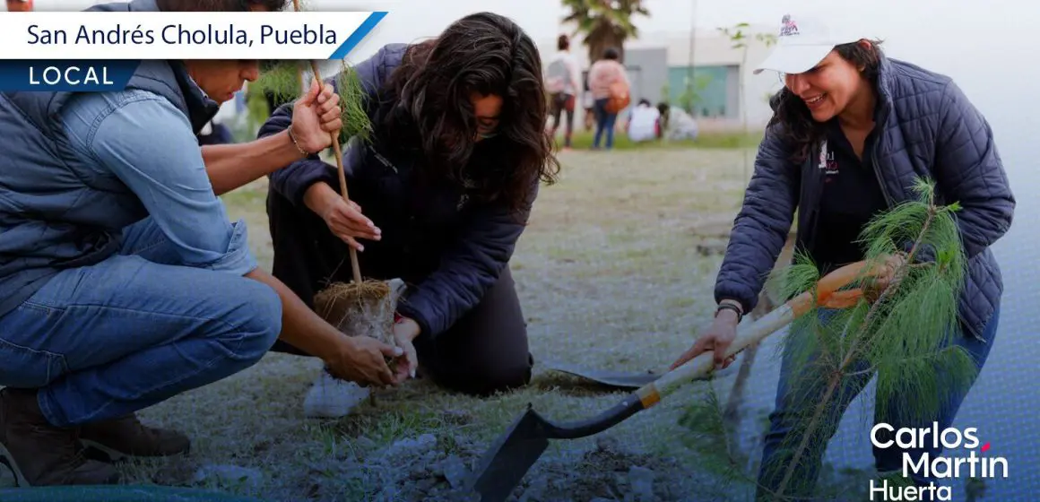 Reforestación en San Andrés Cholula: Más de 1,800 árboles sembrados