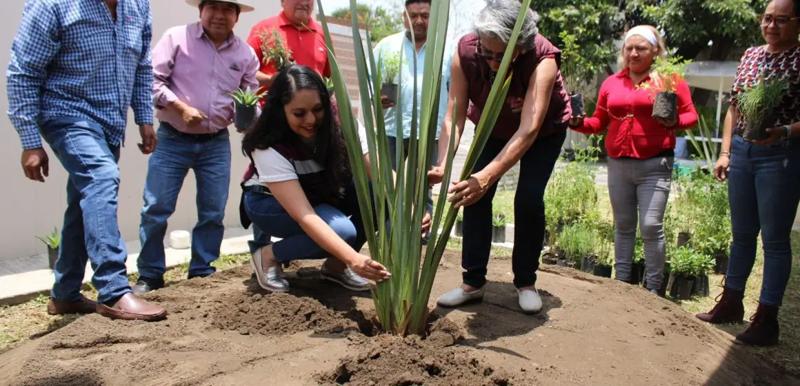 Gobierno de San Pedro Cholula reafirma su compromiso con la imagen urbana