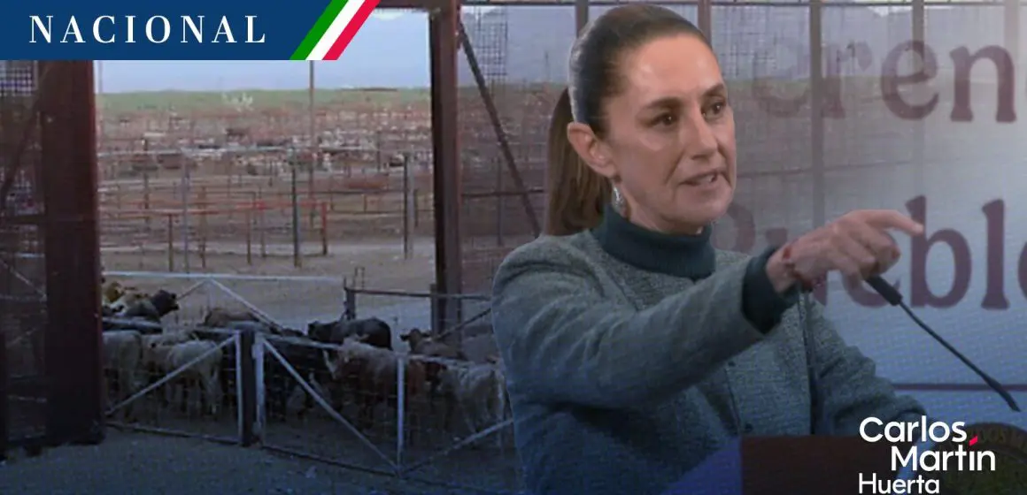 Sheinbaum califica de “exagerada” la decisión de EE.UU. de cerrar la frontera al ganado mexicano
