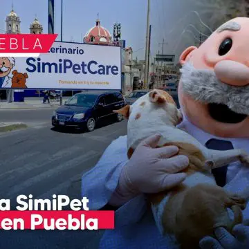Simi Pet Care llega a Puebla con servicios veterinarios accesibles