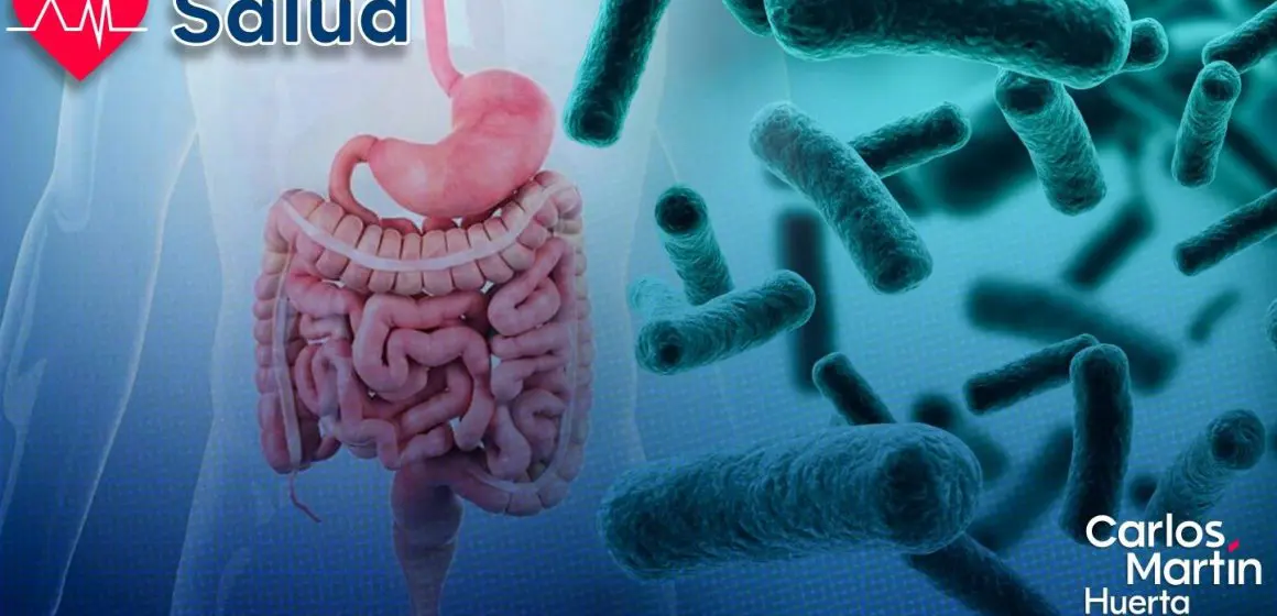 ¡Alerta! UNAM advierte por bacterias intestinales que podrían transmitir resistencia a antibióticos
