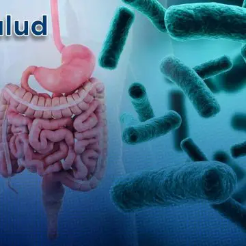 ¡Alerta! UNAM advierte por bacterias intestinales que podrían transmitir resistencia a antibióticos