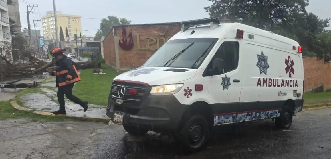 Mujer resulta lesionada por caída de árbol durante lluvia en la colonia La Paz