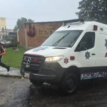 Mujer resulta lesionada por caída de árbol durante lluvia en la colonia La Paz