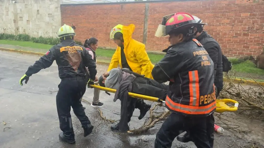 Mujer resulta lesionada por caída de árbol durante lluvia en la colonia La Paz 1 WhatsApp Image 2025 07 08 at 7.00.23 PM