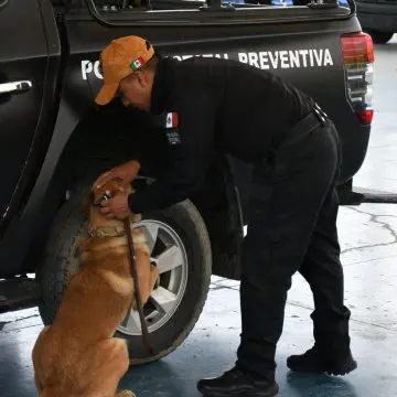 Puebla certifica a 16 instructores caninos para reforzar la seguridad pública