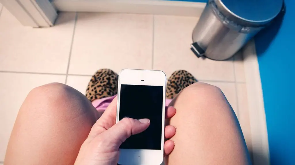 El celular: ¿Una extensión del cuerpo para los mexicanos? revela MITOFSKY 1 telefono en el bano