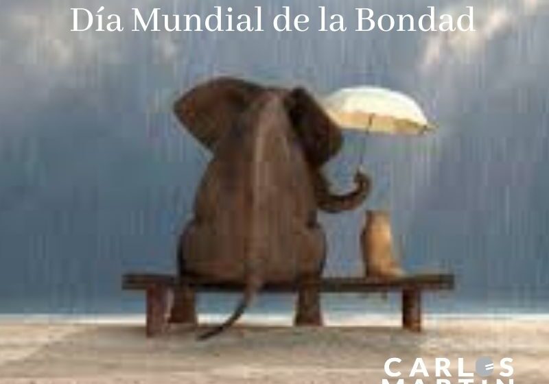 13 Noviembre Día Mundial de la Bondad