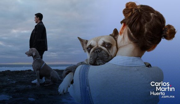 Dime que perro tienes y te diré cómo eres.