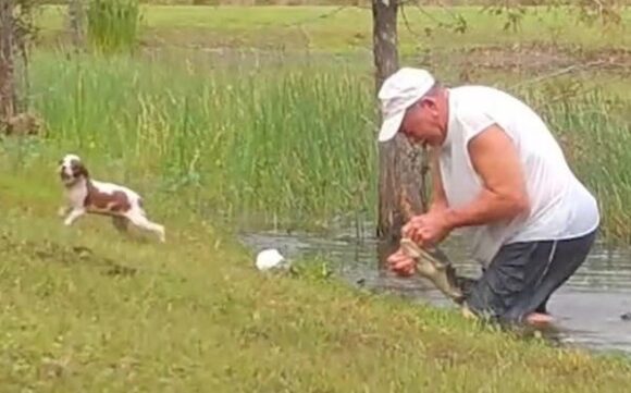 Hombre salva a su perro de las fauces de un cocodrilo. Video se hace viral