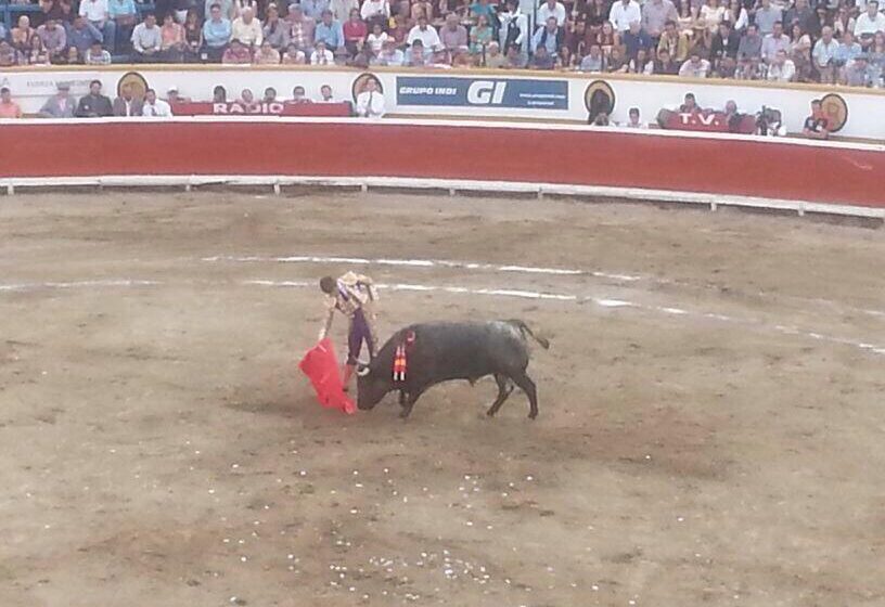 Regidores trabajan para prohibir corridas de toros en Puebla