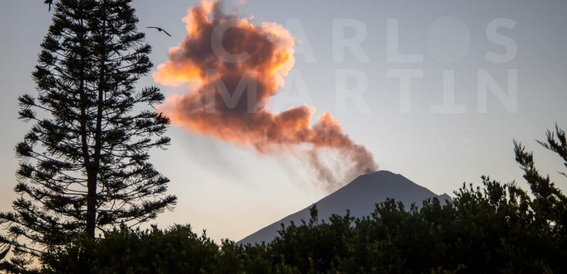 (FOTO) Lanza fumarola el volcán Popocatépetl