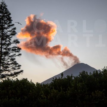 (FOTO) Lanza fumarola el volcán Popocatépetl