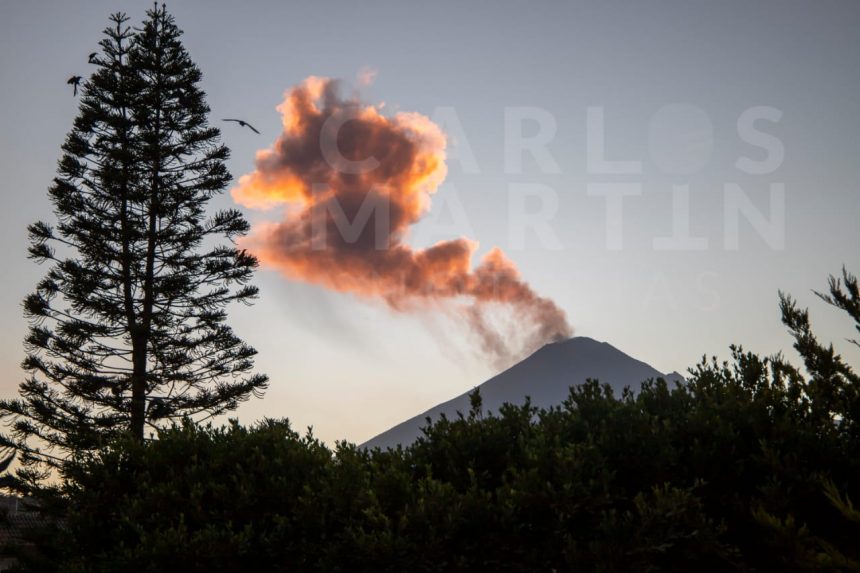 (FOTO) Lanza fumarola el volcán Popocatépetl