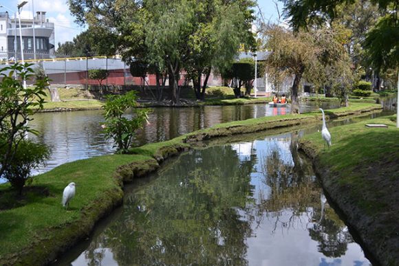 BUAP se posiciona en tercer lugar como la universidad más sustentable en México