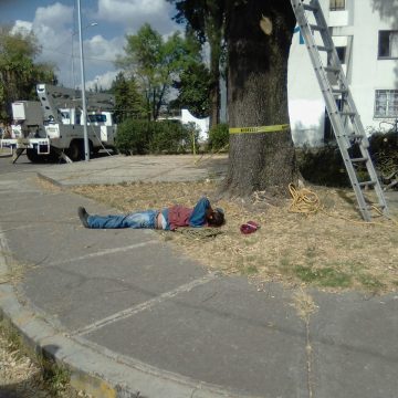 Trabajador del Ayuntamiento de Puebla cae de árbol y sufre fracturas