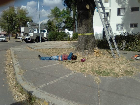 Trabajador del Ayuntamiento de Puebla cae de árbol y sufre fracturas