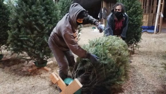 (FOTOS Y VIDEO) Pocos poblanos compraron árbol navideño ante crisis por pandemia