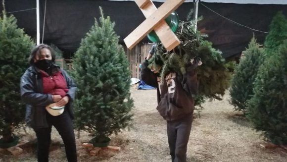 Arbolito-IV Dona tu árbol de navidad natural en Puebla; ¿dónde llevarlo?