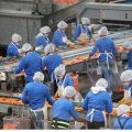 Puebla recibirá inversiones que generarán más de mil 500 empleos: CCE