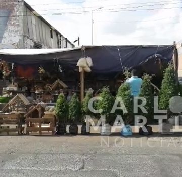 (VIDEO) ¿Aún no tienes tu árbol de Navidad? … Visita el Mercado La Acocota