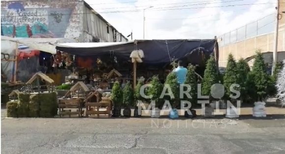 (VIDEO) ¿Aún no tienes tu árbol de Navidad? … Visita el Mercado La Acocota