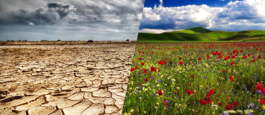 Mentalidad de escasez