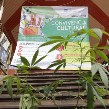 (FOTOS Y VIDEO) Toque Poblano se pronuncia a favor de la legalización de la marihuana