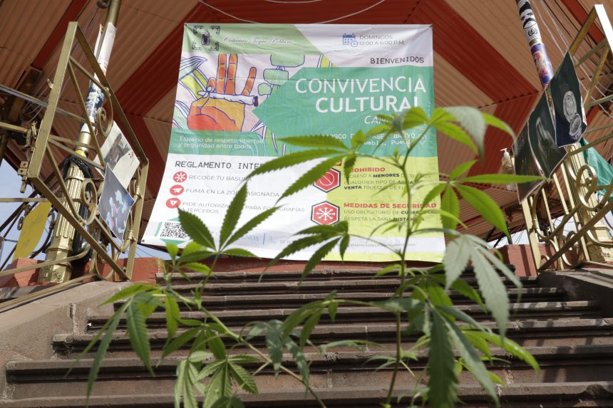 (FOTOS Y VIDEO) Toque Poblano se pronuncia a favor de la legalización de la marihuana
