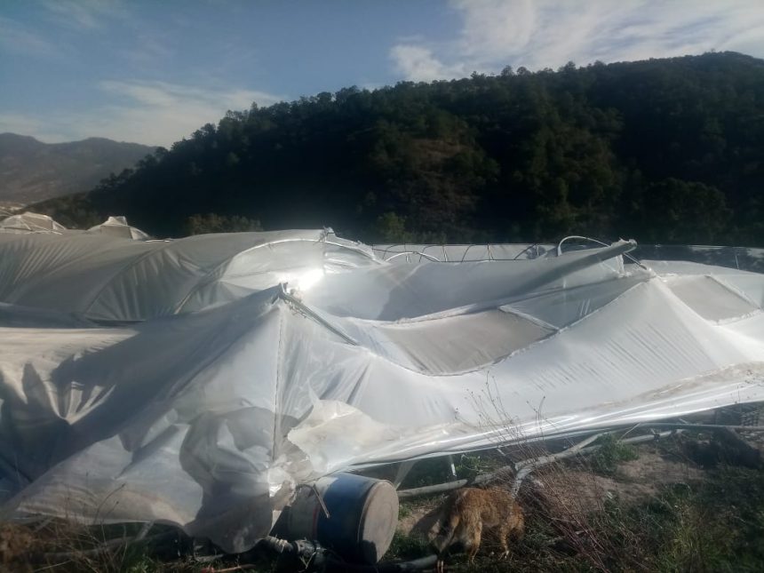 00d5c1ad-c16f-4b0e-9bec-bdc3917eebd4 Afectaciones menores por viento en el estado, sin lesionados: PC